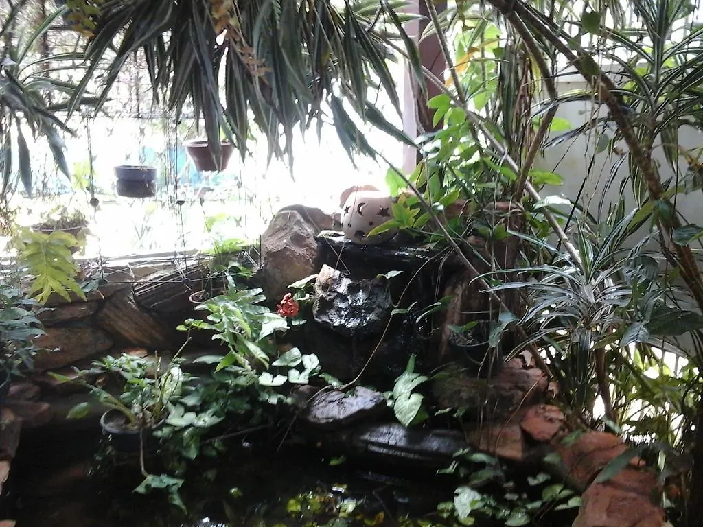 Kzazendf Cama E Cafe Asa Sul Bed & Breakfast